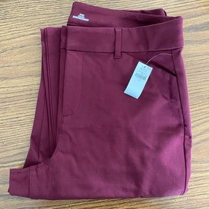 NWT - burgundy pixie dress pants